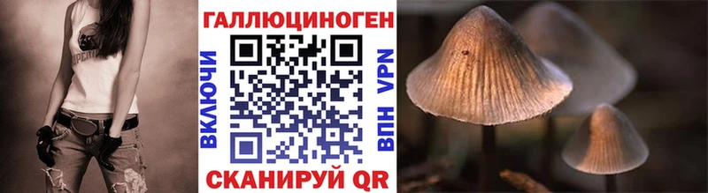 купить закладку  Лахденпохья  Галлюциногенные грибы Psilocybe 